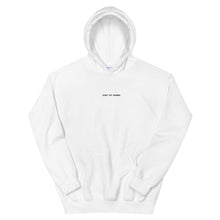 Load image into Gallery viewer, Don&#39;t Hit Women Hoodie