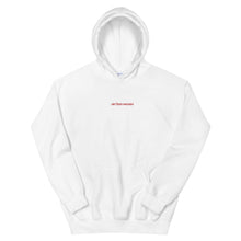 Load image into Gallery viewer, JPN Hoodie